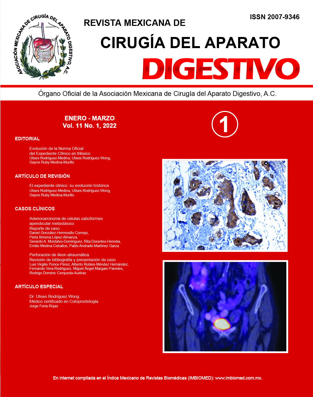 Revista Mexicana de Cirugía del Aparato Digestivo